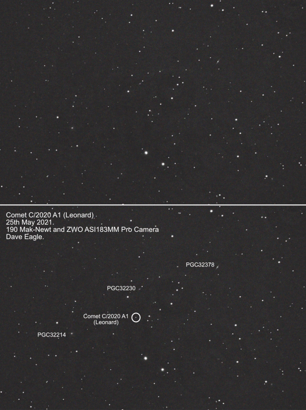 comet leonard visibility